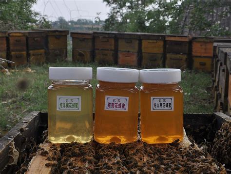 武汉蜂蜜摄影拍摄，纯天然，不是浓缩蜜！|摄影|产品摄影|唯艺创索摄影 - 原创作品 - 站酷 (ZCOOL)
