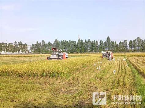 四川命名350家省级家庭农场示范场（全名单）