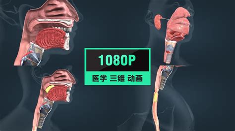 MG动画丨3D口腔医疗打印技术应用动画_壹元文化-站酷ZCOOL