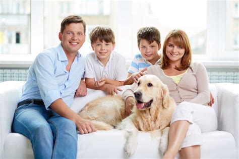 幸福的家庭和可爱的拉布拉多猎犬图片-幸福的家庭和拉布拉多素材-高清图片-摄影照片-寻图免费打包下载
