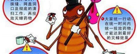 家里有蟑螂怎么办,这10个简单方法教你蟑螂怎么消灭！|东方汉诺北京专业上门除杀蟑螂服务