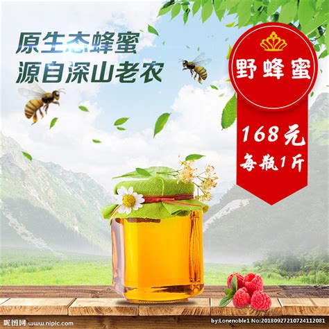 野蜂蜜价格一斤多少钱合法经营_中国蜂蜜销售平台