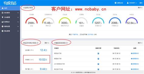 网站权重上不去？站群系统教你一招轻松搞定 - 无忧SEO博客