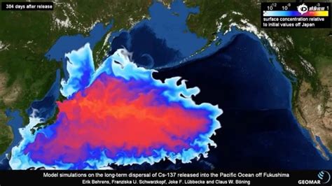 日本百万吨核污水将排入大海，海鲜还能吃么？_手机新浪网