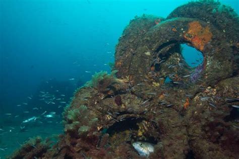贝壳鱼虾有了“豪宅” 浙江海域首次投放复合型人工鱼礁-台州频道