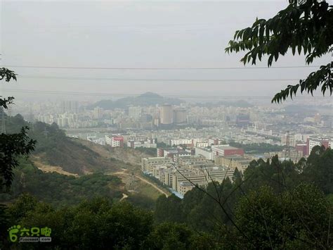 深圳福永凤凰山,树木,树木,植物花草,摄影素材,汇图网www.huitu.com