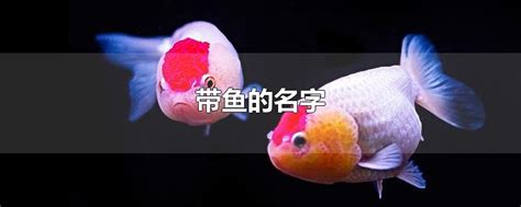 各种鱼图片及名称,名字,淡水_大山谷图库