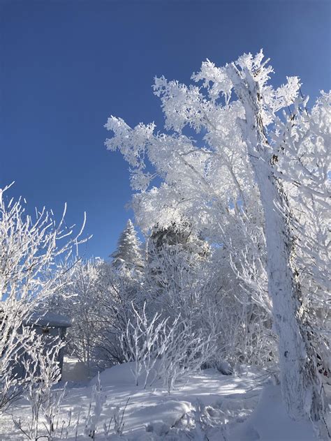 2024北大湖滑雪度假区玩乐攻略,严冬时节，家乡独特的美景淋...【去哪儿攻略】