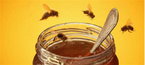 蜂蜜怎么样才算好的？没有明确的标准，自然成熟蜜都算是好蜂蜜！
