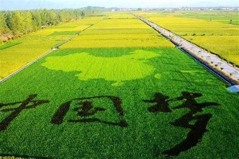 中国农业十大战略布局，这才是未来农业的方向！ - 行业动态 - 嘉诚集团-新集市场-最新蔬菜价格