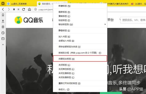 2018哪些浏览器好用？8款浏览器合集推荐_网页下载站wangye.cn