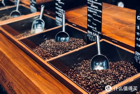 巡咖Xcoffee，回归本质，致力于打造国人喜欢的咖啡味道_品牌_中国_风味