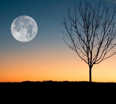 2020赞美十五的月亮的句子 欣赏十五的月亮心情说说2020_万年历