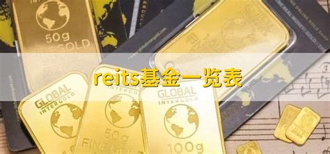 报告 | 2022年中国REITs市场投资研究报告__财经头条