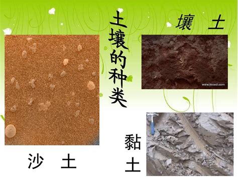 土质分类五类土及照片（土质分类）_生活百科