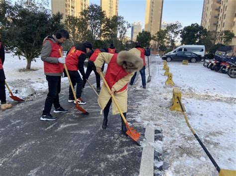 市医学会开展扫冰除雪志愿服务活动