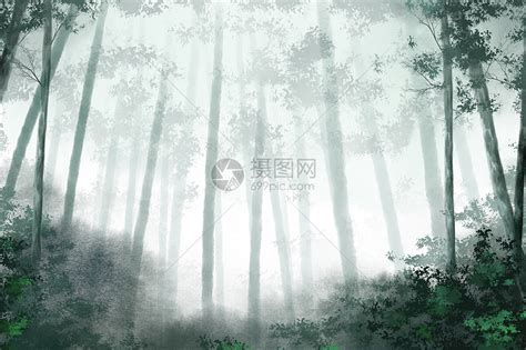 迷雾森林插画图片下载-正版图片400186008-摄图网