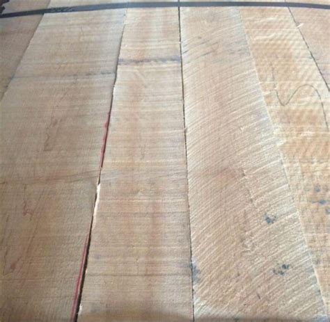 世界上最硬的木头十大排名-中国崖柏网