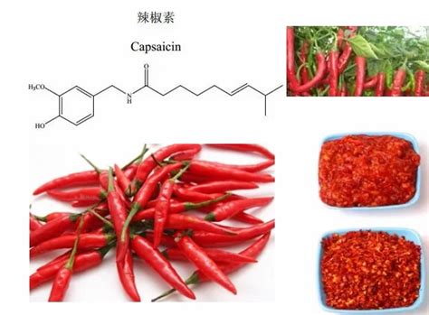 北京大学现代农业研究院与合作单位共同解析辣椒果实类胡萝卜素生物合成调控机制