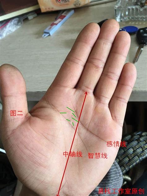 男士手相图解左手图片 男士手相图解左手图片