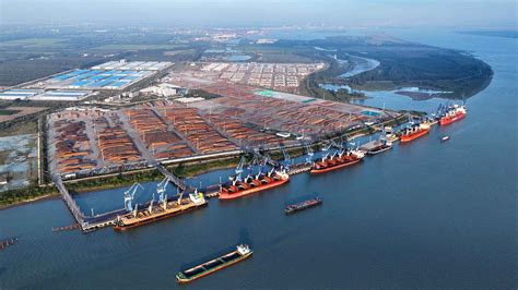 镇江港：打造港口经济绿色样板 逆势跑出产业强市“加速度”_码头