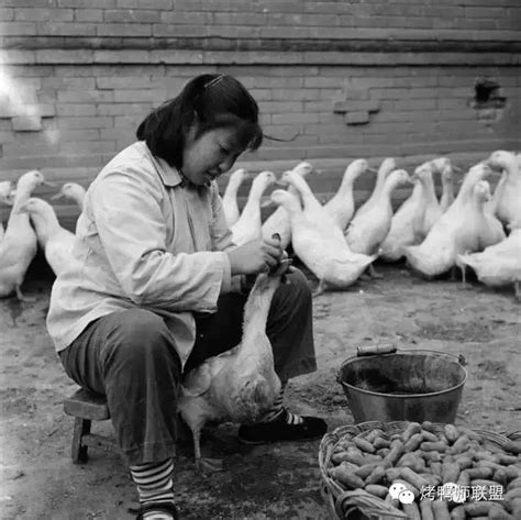 鸭子肉摄影北京烤鸭高清图片下载-正版图片501979257-摄图网