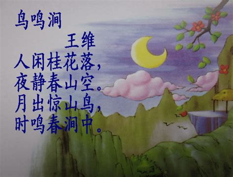 王维生态画卷5：鸟鸣涧_陕西省林业科学院