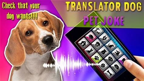 动物语言翻译器软件下载app安卓版2023最新v1.1免费安装(暂未上线)