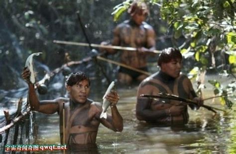 揭秘亚马逊原始部落：一妻多夫_科技频道_凤凰网