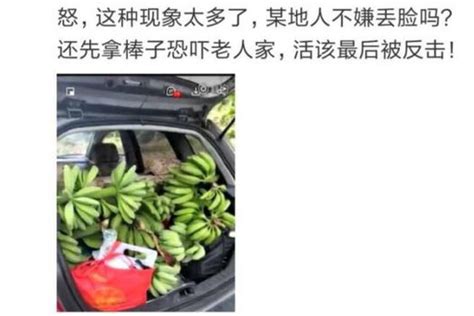 东北大哥在广西钦州偷香蕉引冲突 当事人回应来了|香蕉|钦州|灵山县_新浪新闻