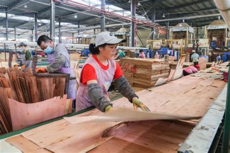 绿色崛起！广西来宾做大百亿级木材高端加工产业！-木业网