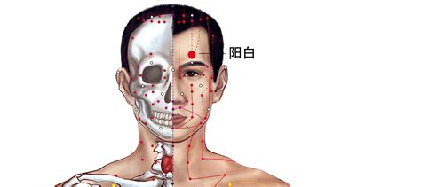 阳白的准确位置图图片 阳白的准确位置图图片