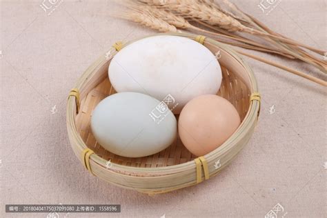 鸡蛋,鸭蛋,鹅蛋,饮食制作,食品餐饮,摄影素材,汇图网www.huitu.com