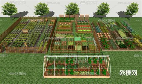 清新,农场,水果,草莓,菜园,地形,田地,种植园,生长,种植
