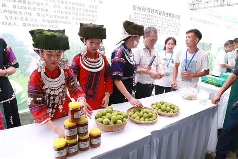 2022中国（镇宁）蜂糖李节暨首届镇宁李子产业峰会开幕__财经头条