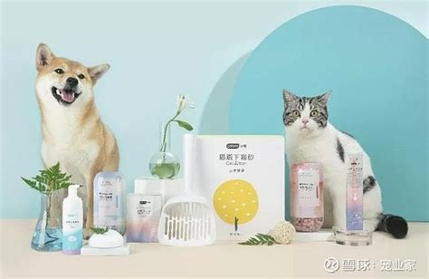 特立独行的宠物用品包装设计案例欣赏 - 郑州勤略品牌设计有限公司