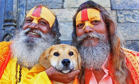印度流浪狗随新主人登珠峰 - 神秘的地球 科学|自然|地理|探索