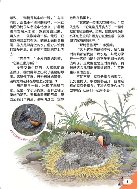 Q版 两只旱鸭子畅游于碧海南天的旅程|插画|儿童插画|luokaiying - 原创作品 - 站酷 (ZCOOL)