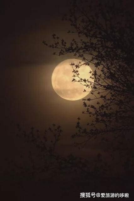 中秋节，一起看世界上最美的月亮！ - 今日新闻 梅州时空