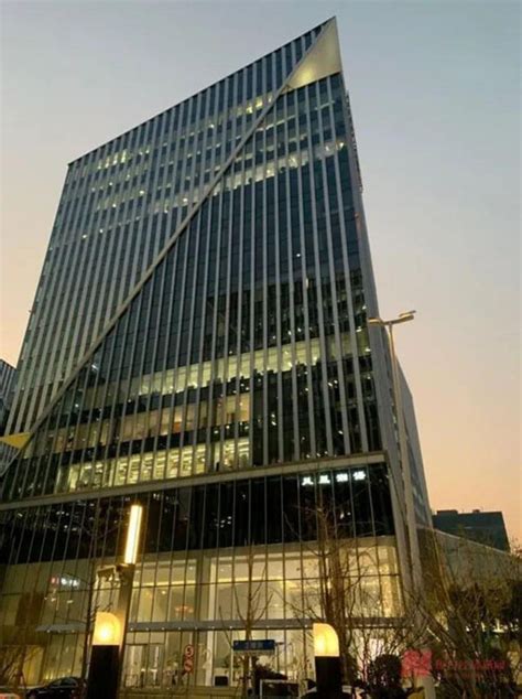 张庭夫妇公司大楼96套房产被查封价值17亿-行业资讯-直销百科网 中国直销百科全书