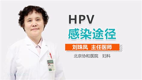 HPV感染途径有哪些-有来医生