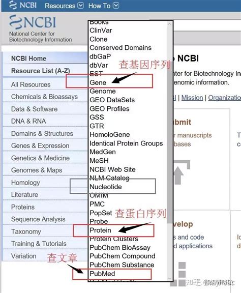 ncbi查找目的基因序列_一步一步教你使用 NCBI 查找DNA、mRNA、cDNA、 引物设计、BLAST 序列比对等...-CSDN博客
