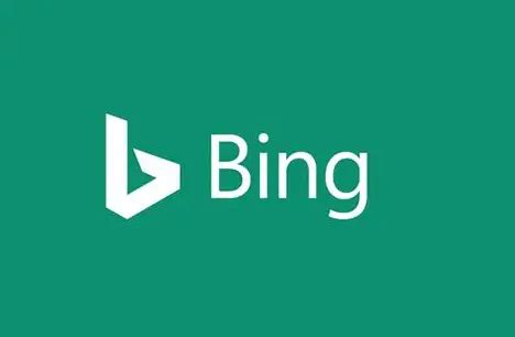 谷歌浏览器如何使用Bing搜索引擎？-谷歌浏览器使用Bing搜索引擎的方法 - 极光下载站