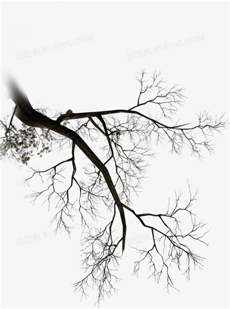 黑白树枝,枝叶,植物花草,摄影,汇图网www.huitu.com