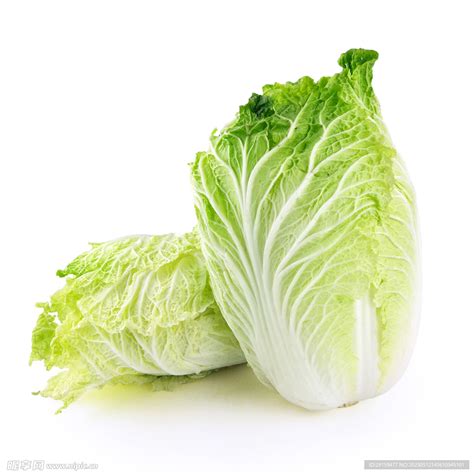 白菜非主流头像