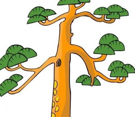 五行缺木如何补 解析五行缺木的补救方法-在线八字网
