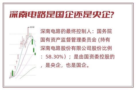深南电路股份有限公司2019年可持续发展报告.pdf | 先导研报