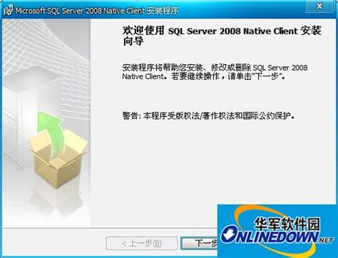 Microsoft SQL Server 2008_官方电脑版_51下载