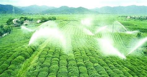 数字化茶园物联网 智慧农业物联网解决方案-杭州益昊农业科技有限公司