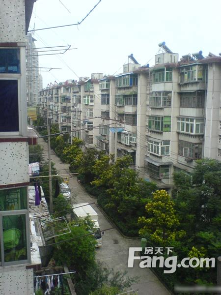 郑州的这个“没落”小区，曾是富人“首选地”，如今辉煌不再__财经头条